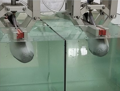 襪套防水試驗機(jī)（低透）